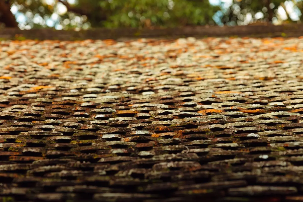 Aging shingle roof with moss growth and granule loss in Vallejo, CA