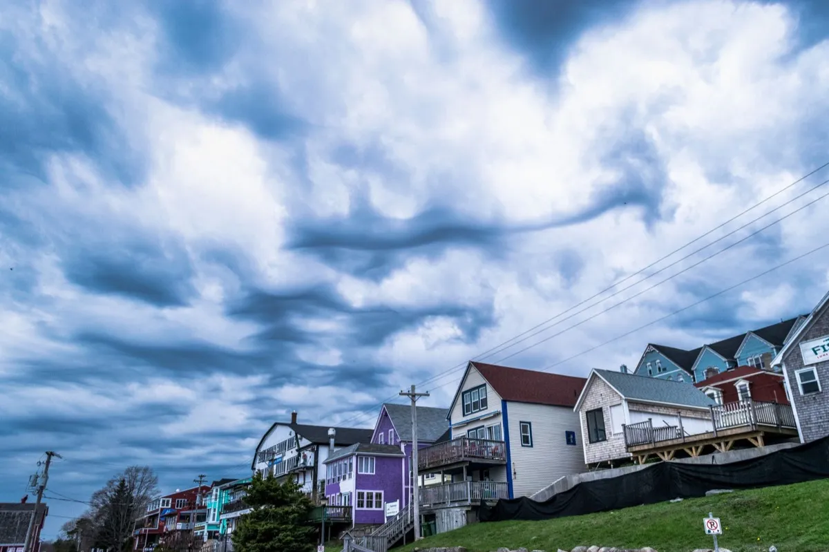 Storm Damage Repair in Vallejo, CA